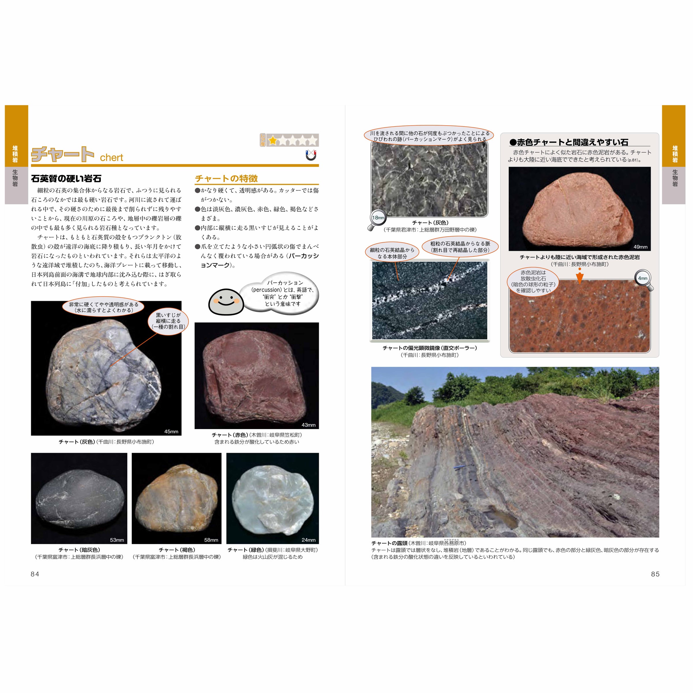 石ころ博士入門 | 千葉県立中央博物館ミュージアムショップ -Museum