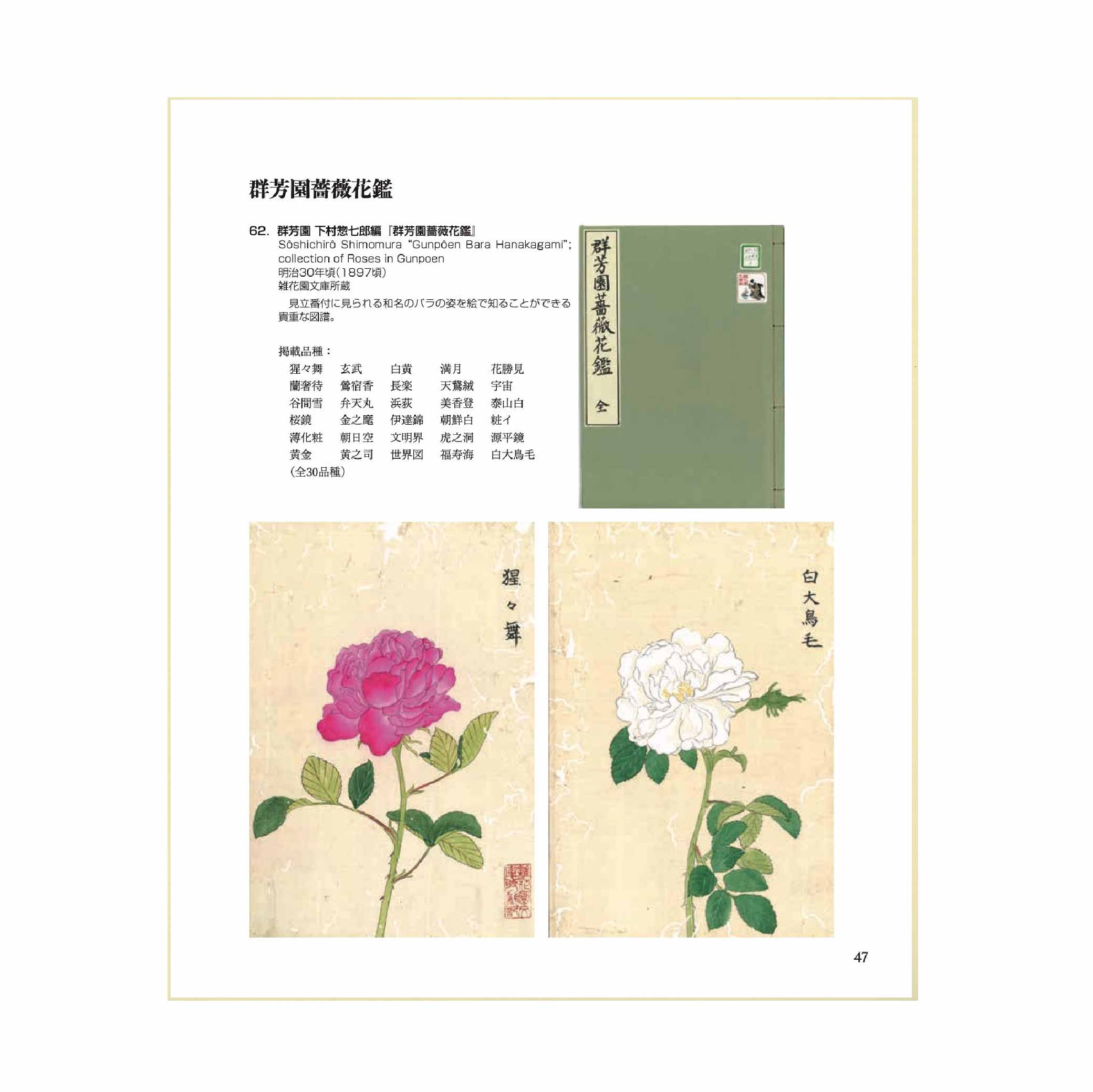 バラのすべて ～All about Roses～ | 千葉県立中央博物館ミュージアム