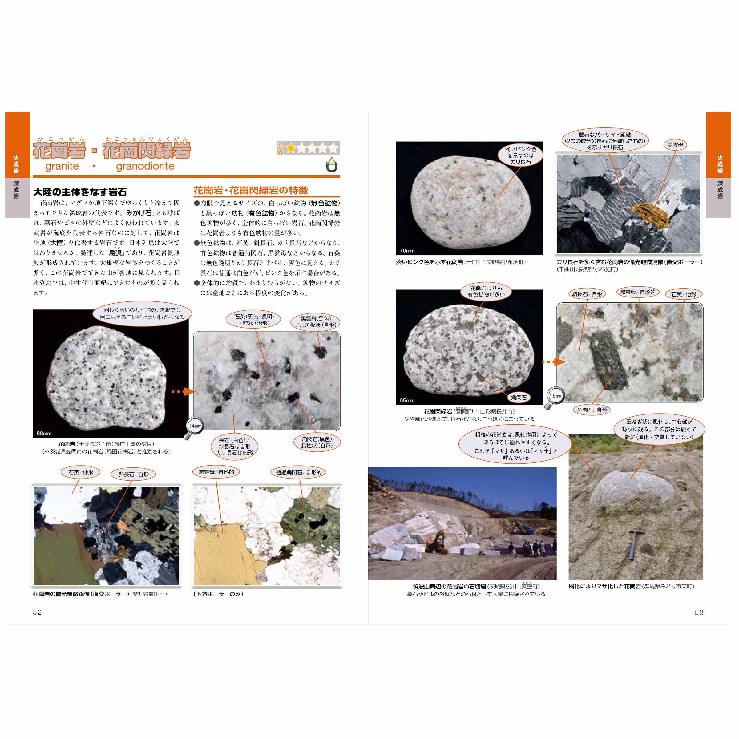 石ころ博士入門 | 千葉県立中央博物館ミュージアムショップ -Museum