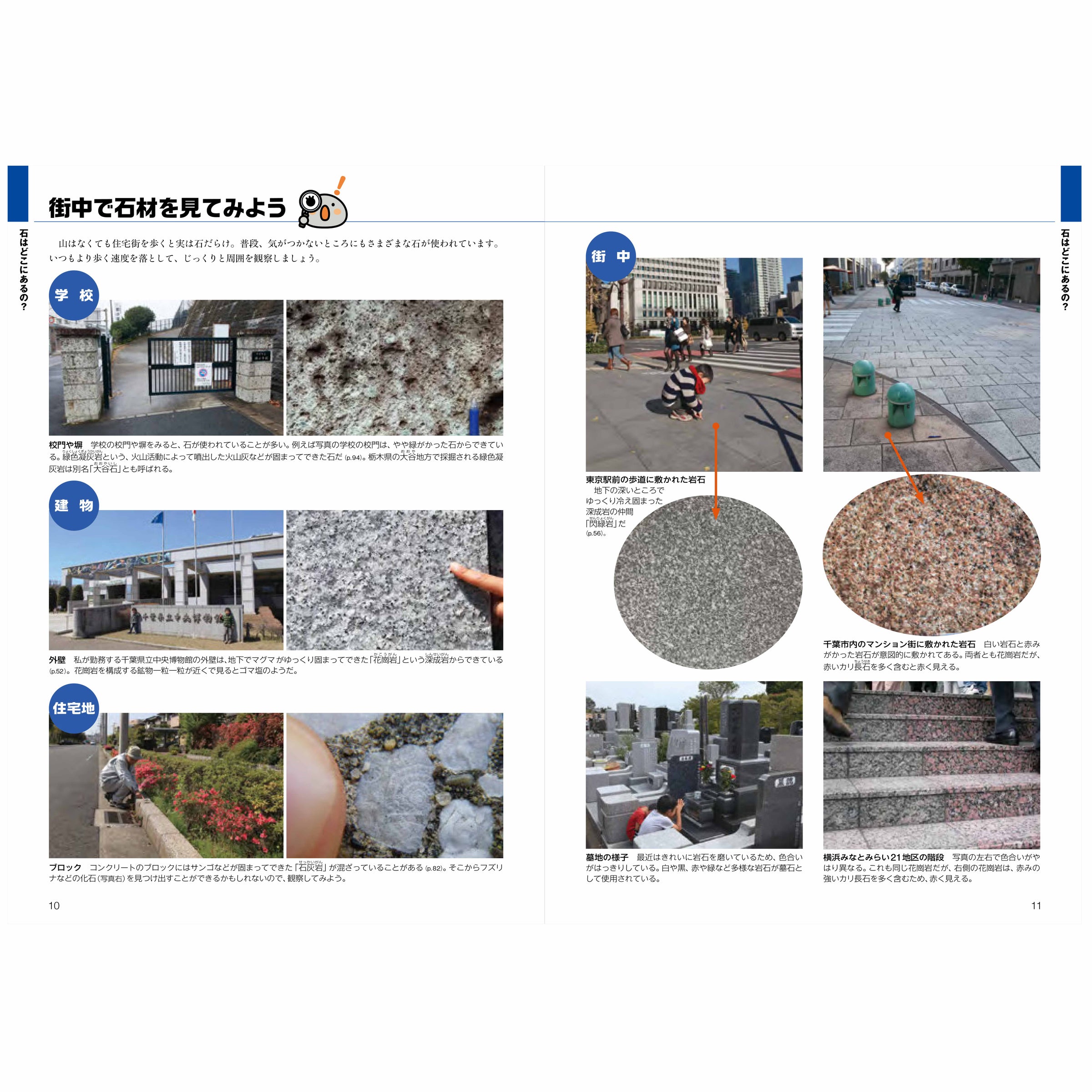 石ころ博士入門 | 千葉県立中央博物館ミュージアムショップ -Museum