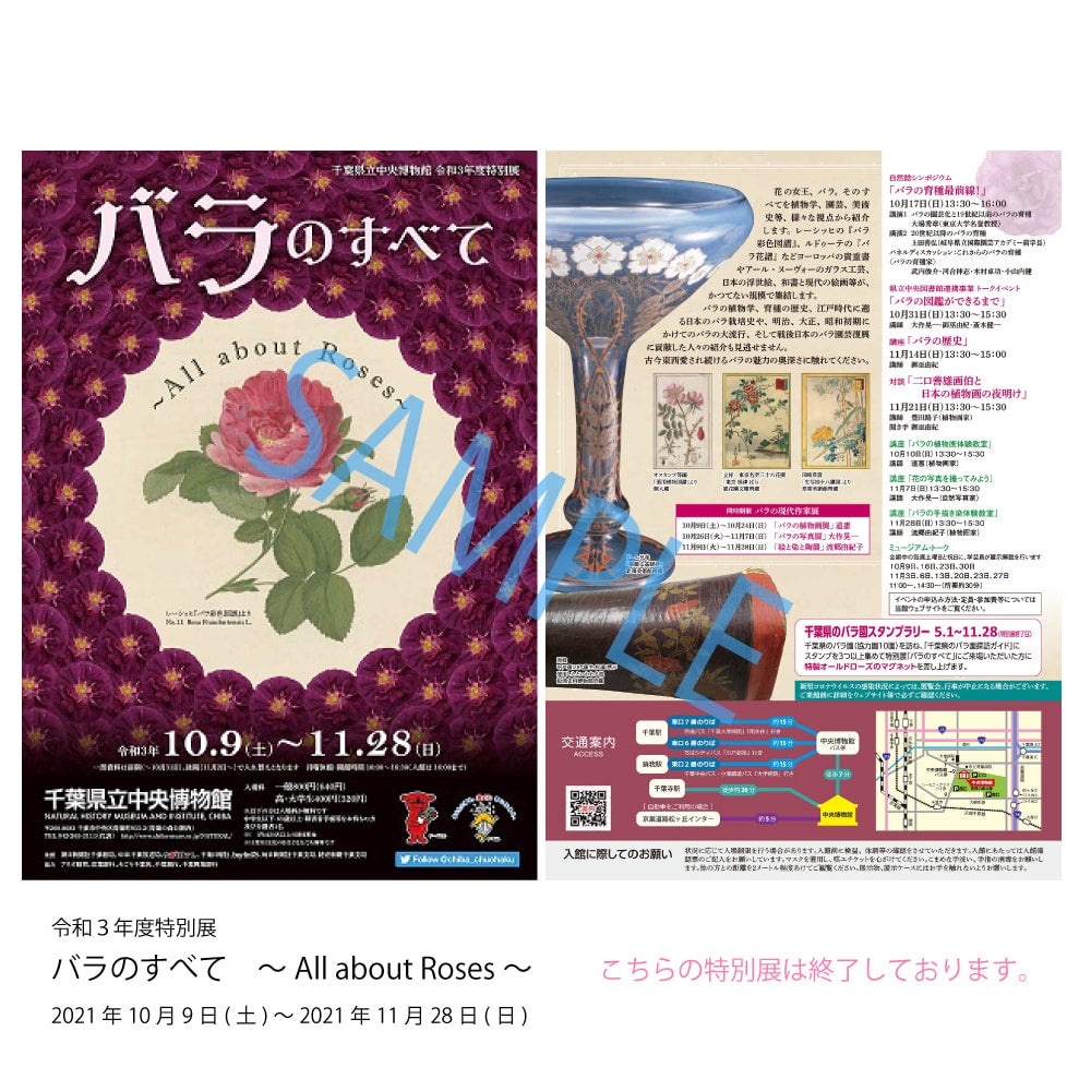 バラのすべて ～All about Roses～ | 千葉県立中央博物館ミュージアム